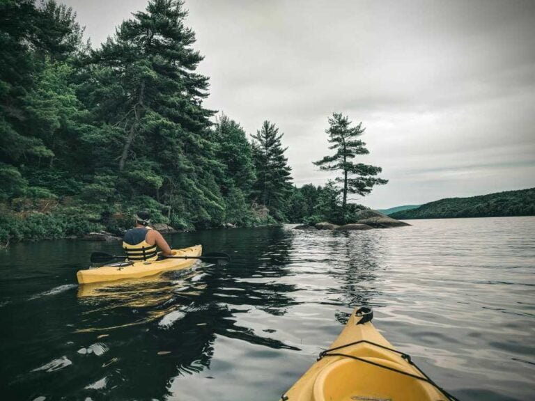 How Kayaking Can Improve Your Physical Health