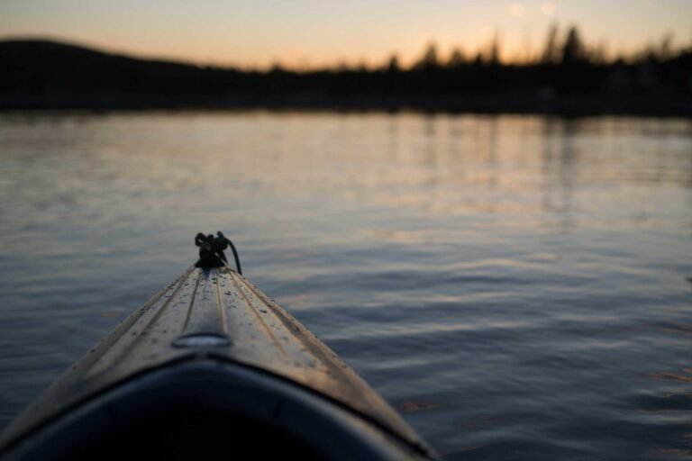 Do you have to have a license for a kayak? Explained!